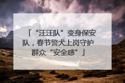 “汪汪队”变身保安队，春节警犬上岗守护群众“安全感”