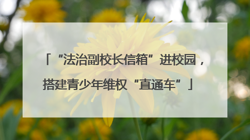 “法治副校长信箱”进校园，搭建青少年维权“直通车”