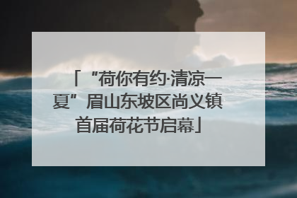 “荷你有约·清凉一夏”眉山东坡区尚义镇首届荷花节启幕