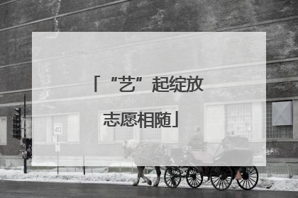 “艺”起绽放 志愿相随