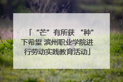 “芒”有所获 “种”下希望 滨州职业学院进行劳动实践教育活动