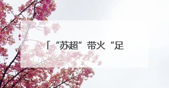 “苏超”带火“足球夜市”，赛场激情化为消费热情