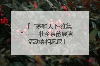 “茶和天下·雅集”——壮乡茶韵展演活动亮相悉尼