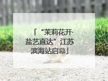“茉莉花开·盐艺直达”江苏滨海站启幕