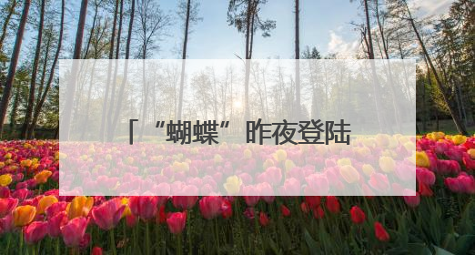 “蝴蝶”昨夜登陆海南 中午前后将再次登陆粤桂沿海