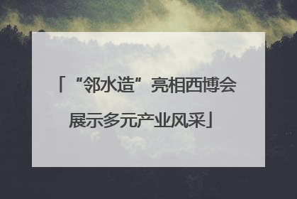 “邻水造”亮相西博会 展示多元产业风采