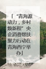 “青海源动力，乡村焕新程”央企消费帮扶聚力行动在青海西宁举办