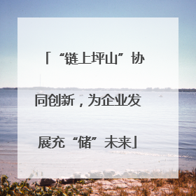 “链上坪山”协同创新，为企业发展充“储”未来