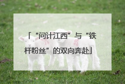 “问计江西”与“铁杆粉丝”的双向奔赴
