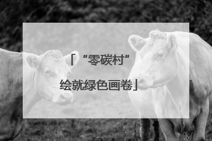 “零碳村” 绘就绿色画卷