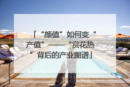 “颜值”如何变“产值”——“赏花热”背后的产业图谱