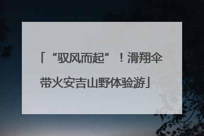 “驭风而起”！滑翔伞带火安吉山野体验游
