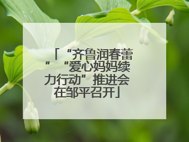 “齐鲁润春蕾”“爱心妈妈续力行动”推进会在邹平召开
