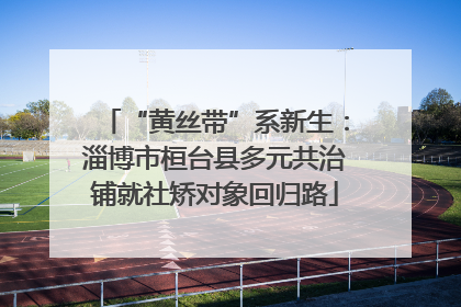 “黄丝带”系新生：淄博市桓台县多元共治铺就社矫对象回归路