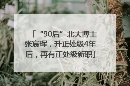 “90后”北大博士张宸珲，升正处级4年后，再有正处级新职