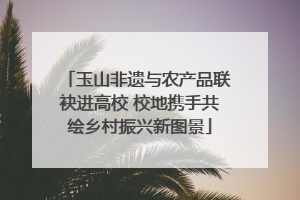 玉山非遗与农产品联袂进高校 校地携手共绘乡村振兴新图景