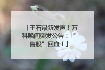 王石最新发声！万科晚间突发公告：“售股”回血！