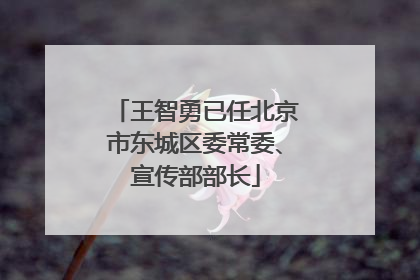 王智勇已任北京市东城区委常委、宣传部部长