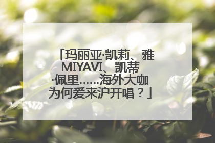 玛丽亚·凯莉、雅MIYAVI、凯蒂·佩里……海外大咖为何爱来沪开唱？