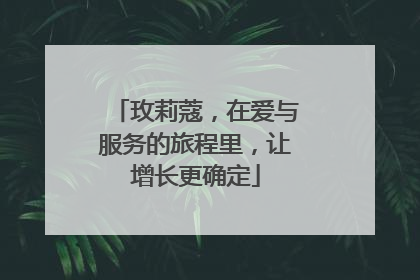 玫莉蔻，在爱与服务的旅程里，让增长更确定