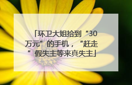 环卫大姐拾到“30万元”的手机，“赶走”假失主等来真失主