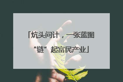 炕头问计，一张蓝图“链”起富民产业