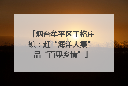 烟台牟平区王格庄镇：赶“海洋大集” 品“百果乡情”