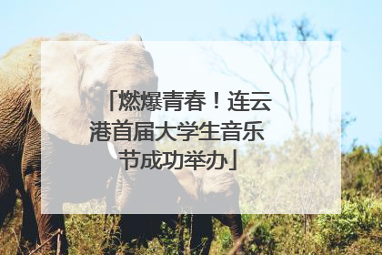 燃爆青春！连云港首届大学生音乐节成功举办