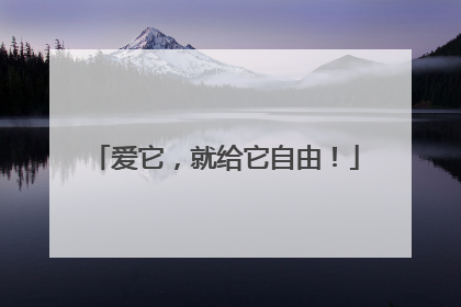 爱它，就给它自由！