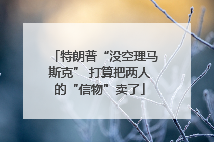 特朗普“没空理马斯克” 打算把两人的“信物”卖了