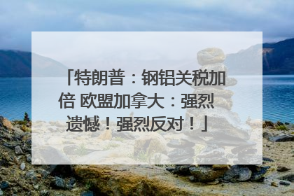 特朗普：钢铝关税加倍 欧盟加拿大：强烈遗憾！强烈反对！