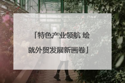 特色产业领航 绘就外贸发展新画卷