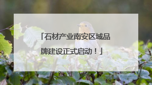 石材产业南安区域品牌建设正式启动！