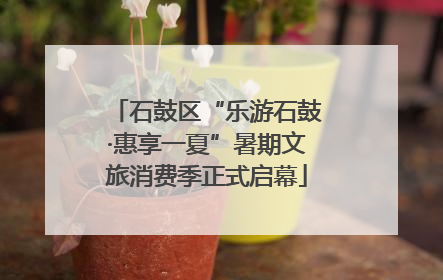 石鼓区“乐游石鼓·惠享一夏”暑期文旅消费季正式启幕