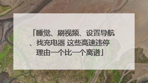 睡觉、刷视频、设置导航、找充电器 这些高速违停理由一个比一个离谱