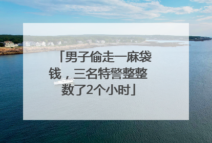 男子偷走一麻袋钱，三名特警整整数了2个小时
