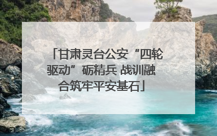 甘肃灵台公安“四轮驱动”砺精兵 战训融合筑牢平安基石
