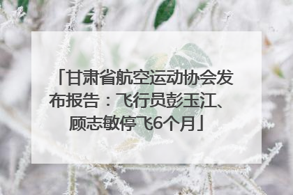 甘肃省航空运动协会发布报告：飞行员彭玉江、顾志敏停飞6个月
