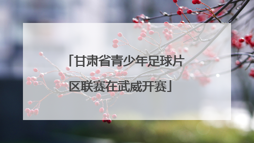 甘肃省青少年足球片区联赛在武威开赛