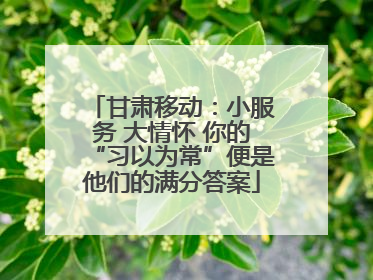 甘肃移动：小服务 大情怀 你的“习以为常”便是他们的满分答案
