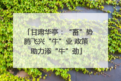 甘肃华亭：“畜”势腾飞兴“牛”业 政策助力添“牛”劲