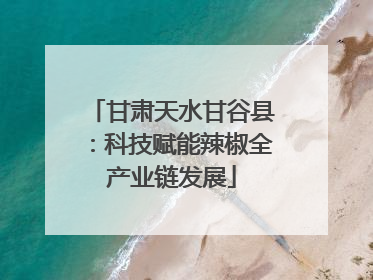 甘肃天水甘谷县：科技赋能辣椒全产业链发展