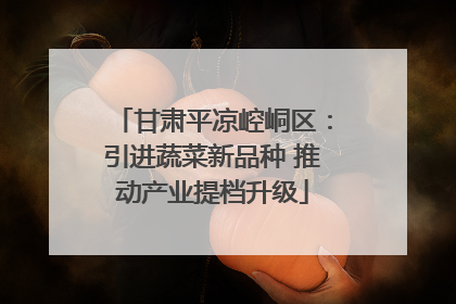 甘肃平凉崆峒区：引进蔬菜新品种 推动产业提档升级