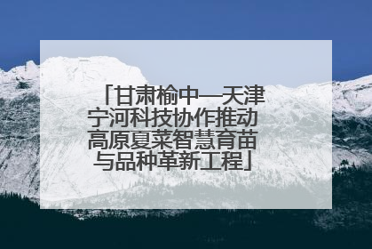 甘肃榆中—天津宁河科技协作推动高原夏菜智慧育苗与品种革新工程