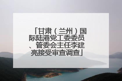甘肃（兰州）国际陆港党工委委员、管委会主任李建亮接受审查调查