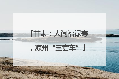 甘肃：人间福禄寿，凉州“三套车”