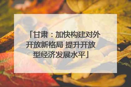 甘肃：加快构建对外开放新格局 提升开放型经济发展水平