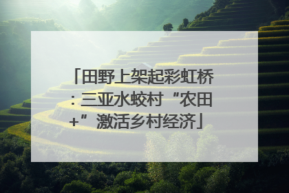 田野上架起彩虹桥：三亚水蛟村“农田+”激活乡村经济