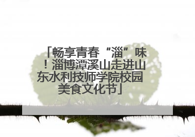 畅享青春“淄”味！淄博潭溪山走进山东水利技师学院校园美食文化节