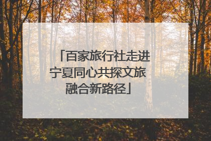 百家旅行社走进宁夏同心共探文旅融合新路径